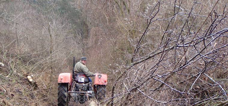 Bäume werden aus dem Hohlweg gezogen - Wertvolle Traktor-Unterstützung