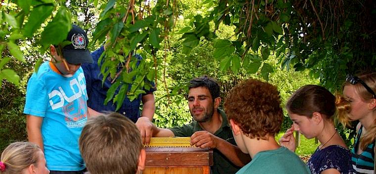 Der Bienenfreund - Ron