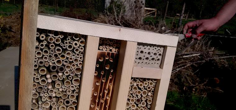 fertige Wildbienen-Nisthilfe - keine wegstehenden Späne, keine Bockerl, Bambus muss z.T. noch nachgebohrt werden, gebohrter Hartholzblock