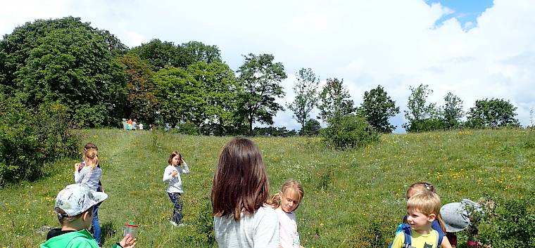 Ausgerüstet mit Becherlupen erforschten die Kinder die Insektenvielfalt der Heide. © FdPH/Girsch