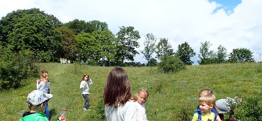 Ausgerüstet mit Becherlupen erforschten die Kinder die Insektenvielfalt der Heide. © FdPH/Girsch