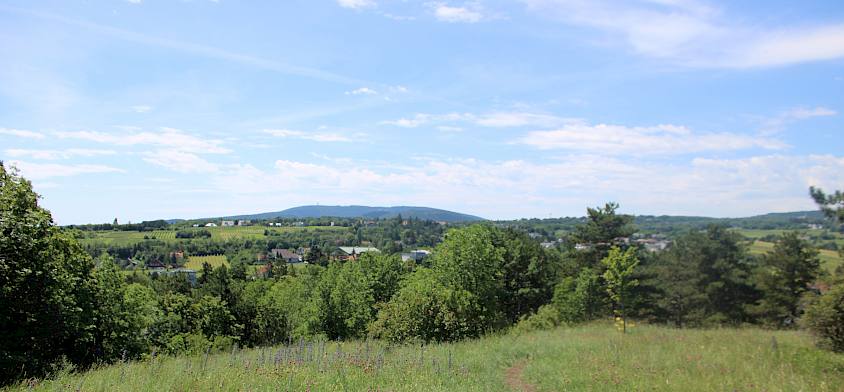 Ausblick vom Hochberg © F. Hohn