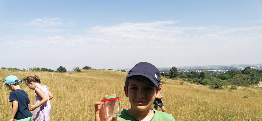 Ausgerüstet mit Becherlupen entdeckten die Kinder die Insektenvielfalt der Heide.© FdPH/Girsch
