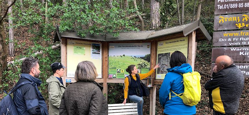 Die Biolog*innen des Heidevereins erklärten den Besucher*innen zunächst mehr zur landschaftlichen Entstehung und Geschichte der Heide. © FdPH/Mrkvicka