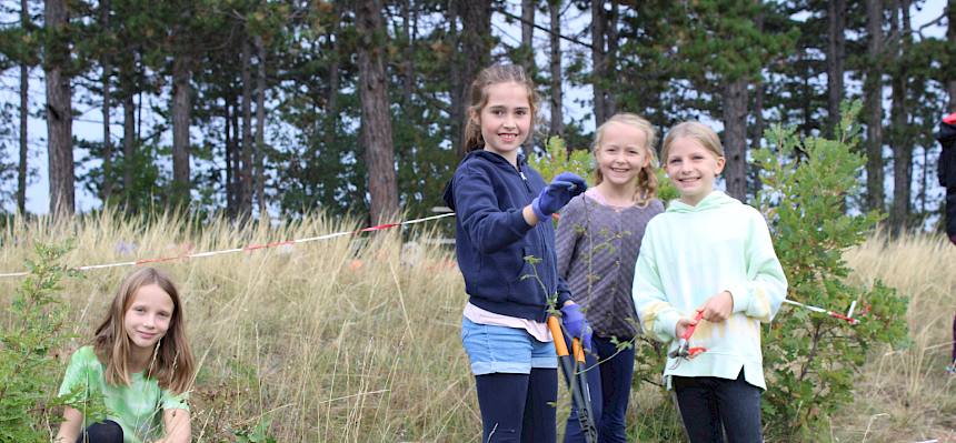 Gemeinsam macht die Heidepflege Spaß. Hier den Schülerinnen der VS Roseggergasse. © FdPH/Hohn