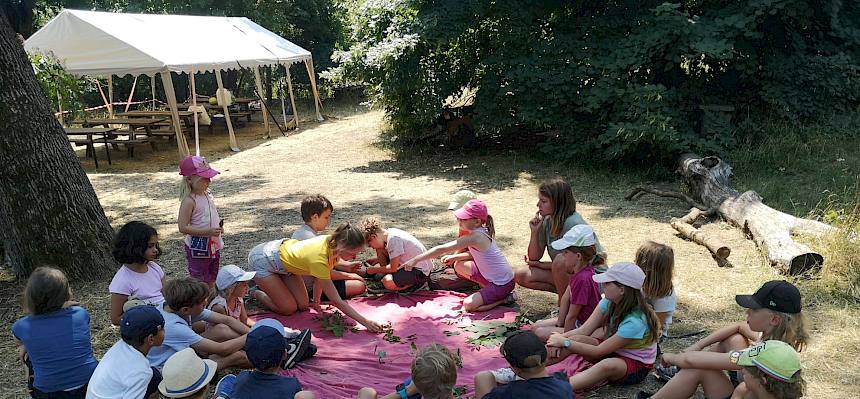 Die Kinder lernten während der Ferienwoche viel über heimische Pflanzen- und Tierarten. © FdPH/F.Hohn