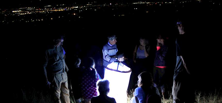 Dank einer Lichtfalle, auch genannt Leuchtturm, konnte so eine Vielfalt an nachtaktiven Insekten beobachtet werden.© LPV/V. Baluch