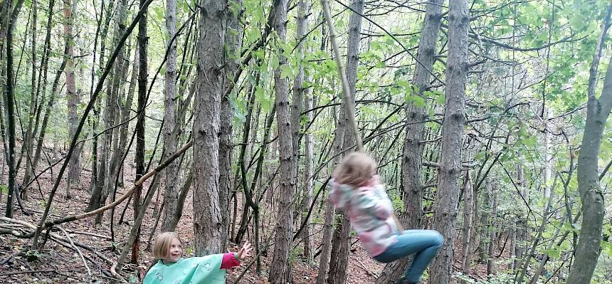 Beim Waldteich entdeckten die Naturforscher eine Liane, die natürlich ausprobiert werden musste. © FdPH/Girsch