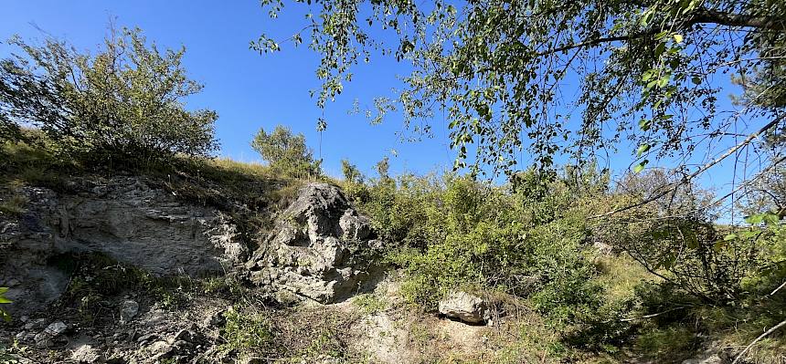 Wieder freigestellte Felsen bei der Kleinen Heide sind ein wertvoller Lebensraum. © FdPH