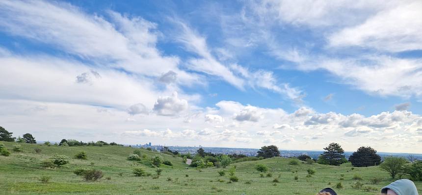 Die Perchtoldsdorfer Heide zählt zu den wertvollsten Naturflächen Österreichs. © Clemens-Anna Grabner