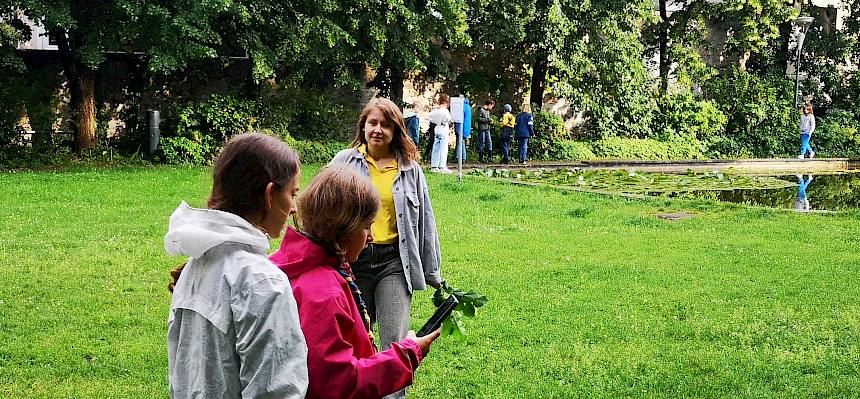 Die Entdeckungen aus dem Zellpark wurden sofort mit dem Handy fotografiert und mit der Naturforschungs-App "iNaturalist" festgehalten. © FdPH/F. Hohn