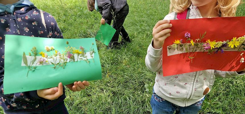 Wiesenklebebilder fangen die bunte Vielfalt der Gräser und Kräuter auf der Wiese perfekt ein. © FdPH/B. Sabek