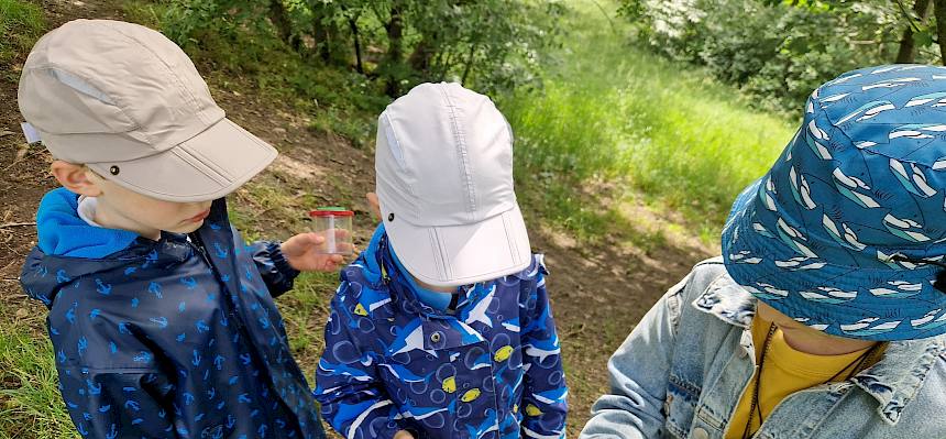 Die jungen Pfadfinder:innen entdeckten heute allerlei Tiere im Begrischpark. © FdPH/B. Sabek