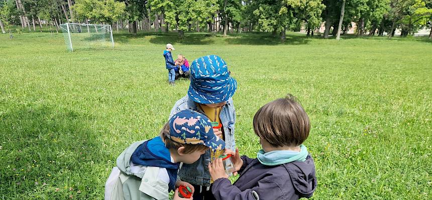 Mit Becherlupen und viel Geduld fingen die jungen Entdecker:innen Bienen, Heuschrecken und Spinnen. © FdPH/B. Sabek