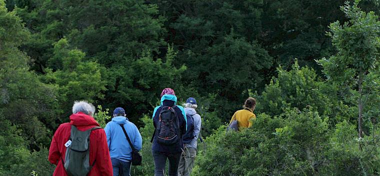 Spaziergang über die Heide. © FdPH/V. Schönpflug
