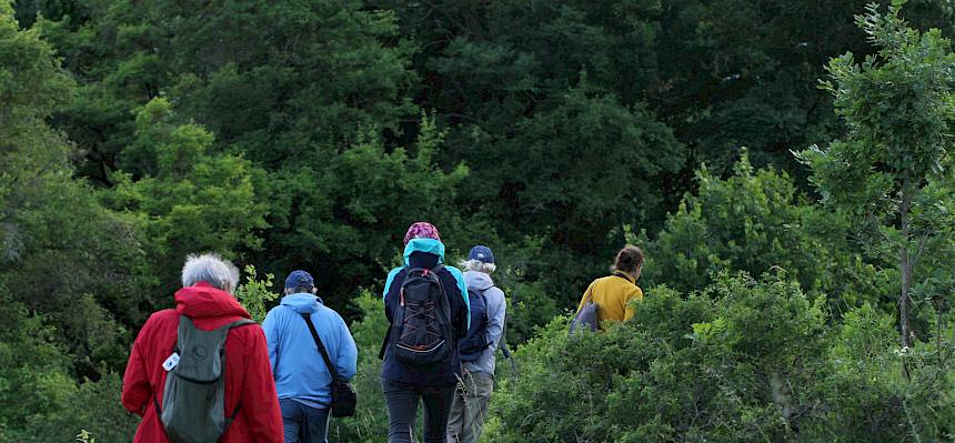 Spaziergang über die Heide. © FdPH/V. Schönpflug