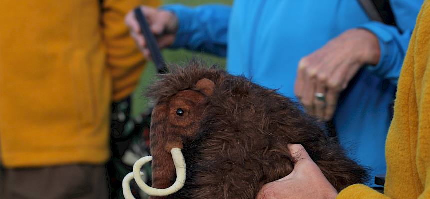 Die Biolog:innen des Heidevereins erklärten den Besucher:innen zunächst mehr zur landschaftlichen Entstehung und Geschichte der Heide. © FdPH/V. Schönpflug