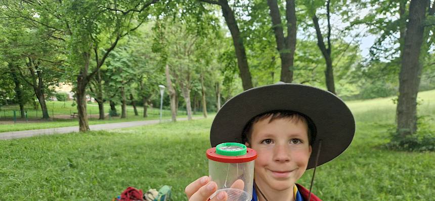 Mit Becherlupen und viel Geduld fingen die jungen Entdecker:innen Bienen, Heuschrecken und Spinnen. © FdPH/B. Sabek