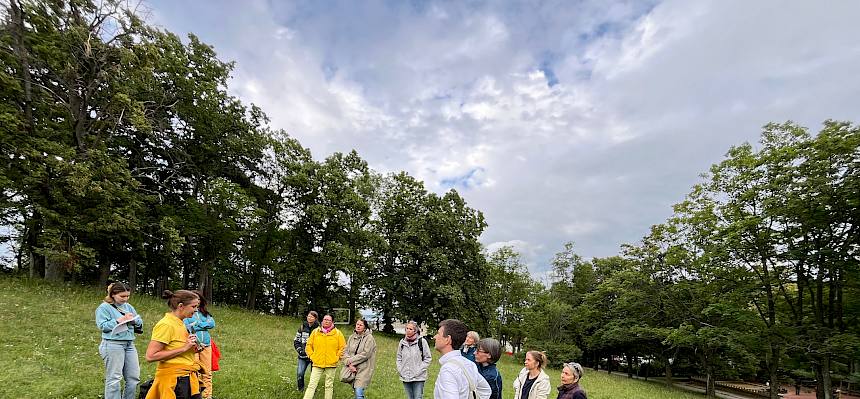 Heute trafen sich 15 naturinteressierte Besucher:innen zu einer Führung auf der vom unserem Partnerverein Freunde der Perchtoldsdorfer Heide betreuten Naturwiese im Begrischpark. © FdPH/A. Mrkvicka