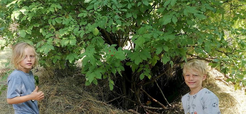 Fertiges Tipi - es wurde allein mit Naturmaterialien wie Ästen und Heu gebaut. © FdPH/Girsch