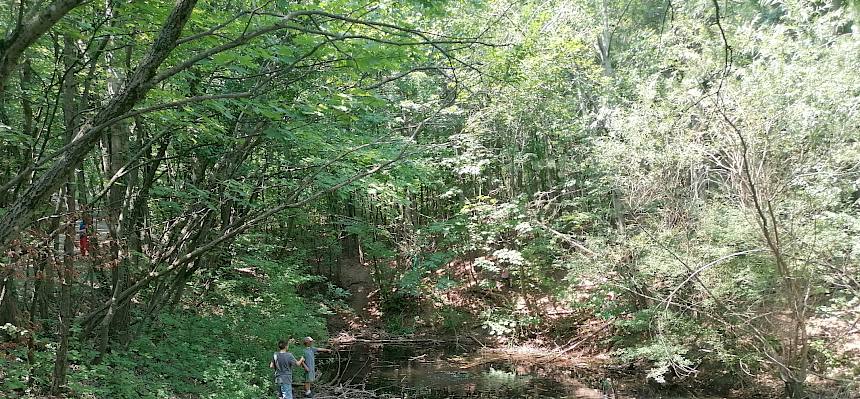 Nach dem Mittagessen bahnten sich die Kinder einen Weg um den Waldteich - eine Herausforderung! © FdPH/Girsch