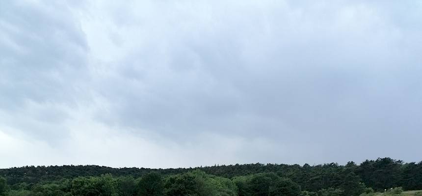 Wanderung zu den Schafen. © FdPH/Girsch