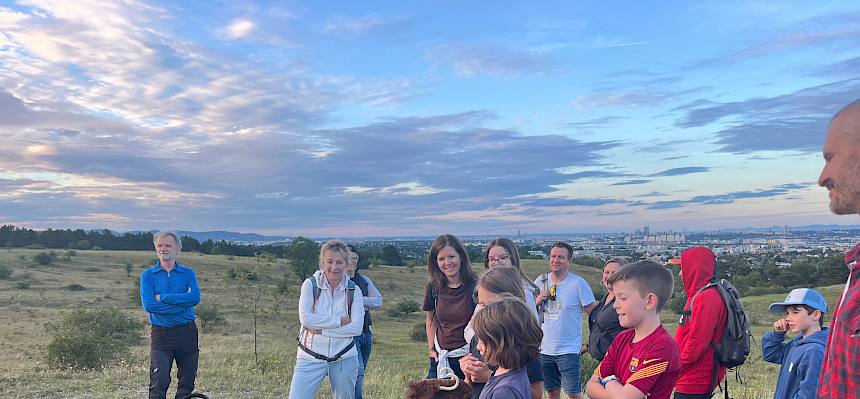 Heute hatten viele Naturinteressierte die Möglichkeit, den bunt blühenden Lebensraum Trockenrasen der Perchtoldsdorfer Heide mit seinen Bewohnern bei Nacht zu entdecken. © LPV/S. Engel