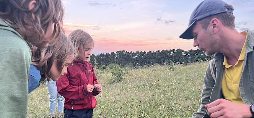 Biologe Felix stellt bei der Nacht-Führung spannende Tiere und Pflanzen der Heide vor. © LPV/S. Engel