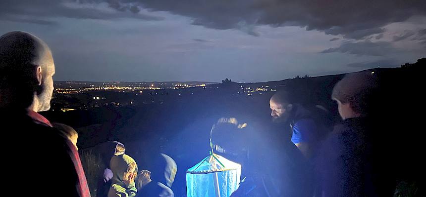 Dank einer Lichtfalle, auch genannt Leuchtturm, konnte so eine Vielfalt an nachtaktiven Insekten beobachtet werden. © LPV/S. Engel