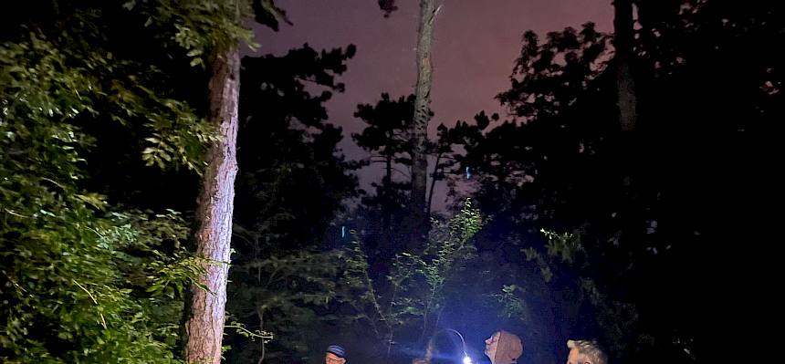 Bei der Nacht-Führung wurden Tiere und Pflanzen der Nacht entdeckt. © LPV/S. Engel