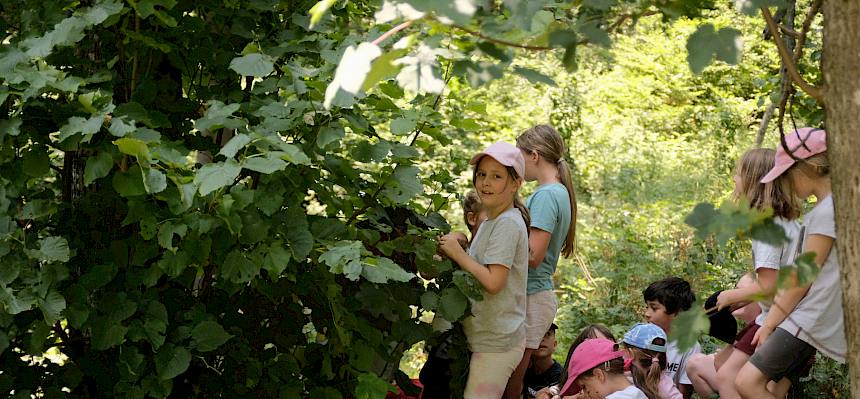 „Adlerauge sieht“ machte den Kindern großen Spaß! © FdPH/J. Fischer