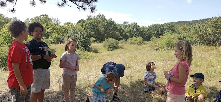 Gemeinsam mit Naturpädagoge Felix entdeckten die Kinder heute die Heide und ihre 6-beinigen Bewohner. © FdPH/F. Hohn