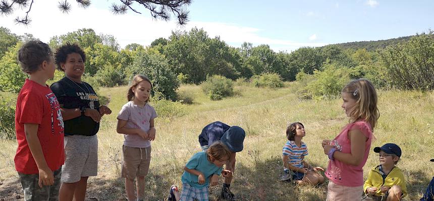 Gemeinsam mit Naturpädagoge Felix entdeckten die Kinder heute die Heide und ihre 6-beinigen Bewohner. © FdPH/F. Hohn