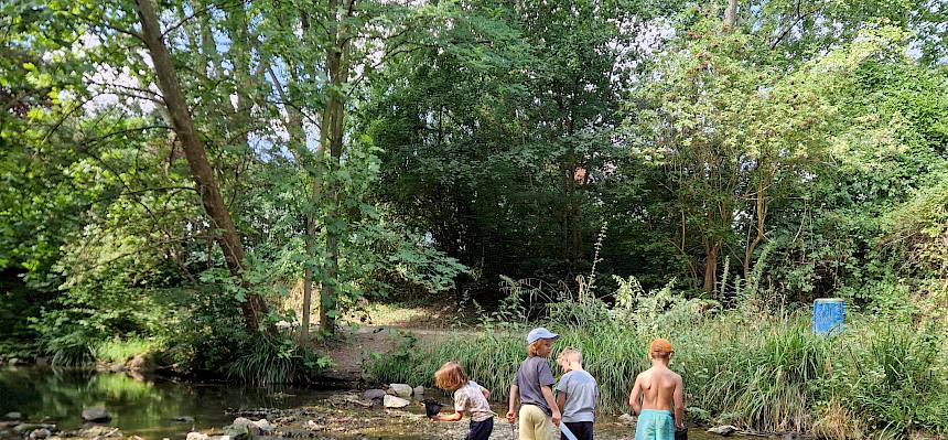 Ausgerüstet mit Keschern und Wannen machten sich die jungen Naturforscher:innen auf die Suche nach Gewässertieren. © FdPH/B. Sabek