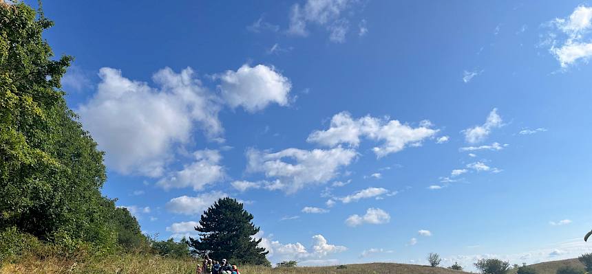 Wanderung über die Heide. © FdPH/B. Hopler