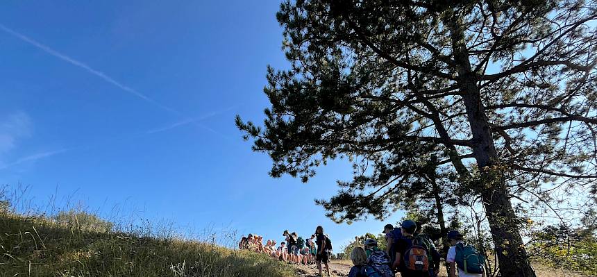 Wanderung über die Heide. © FdPH/B. Hopler