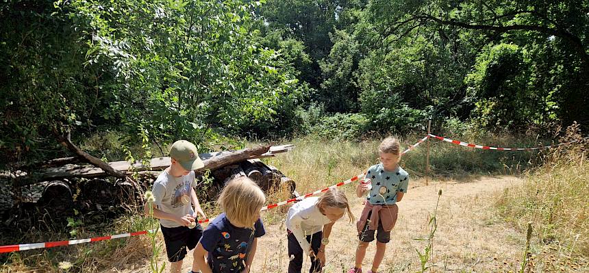 Ausgerüstet mit Becherlupen gingen die Kinder auf Entdeckungssuche nach Insekten und Spinnen. © FdPH/L. Strobl