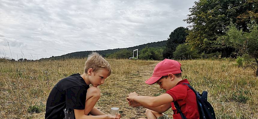 Beim Insekten einfangen. © FdPH/F. Hohn