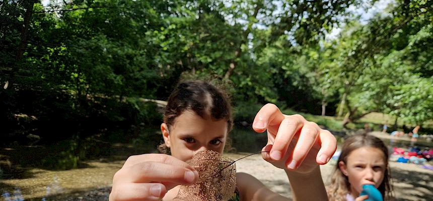 Schau dir dieses Naturmeisterwerk doch mal an! © FdPH/N. Lintner