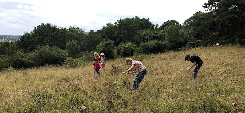 Die Heide war faszinierend und wir konnten endlos suchen und schauen…© FdPH/N. Lintner