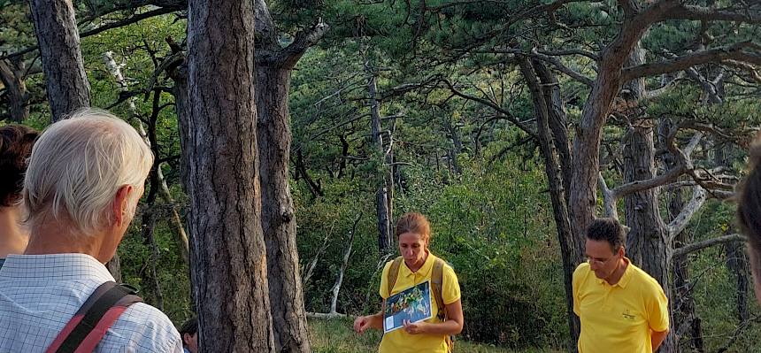 Irene Drozdwoski und Alexander Mrkvicka führten heute durch den Perchtoldsdorf Wald und konnten viele Fragen der Teilnehmer:innen beantworten. © LPV/O. Gollong