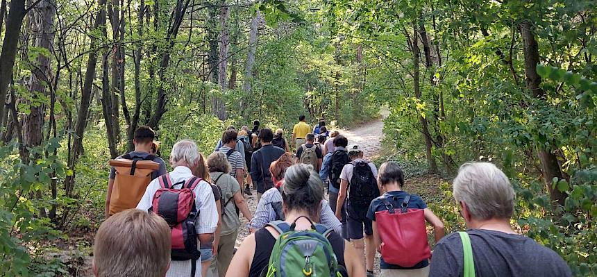 Zahlreiche Naturinteressierte nahmen heute an der Führung durch den Perchtoldsdorfer Wald teil. © LPV/O. Gollong