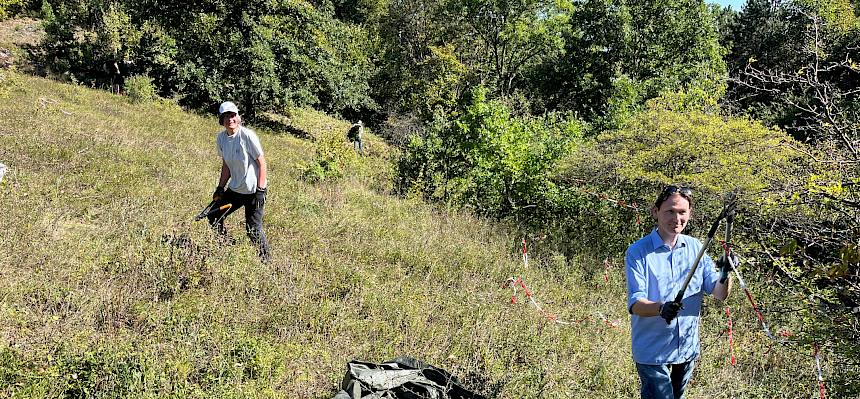 Für die Schafbeweidung wurden Korridore zum Aufstellen des Zauns freigeschnitten. © FdPH/A. Mrkvicka