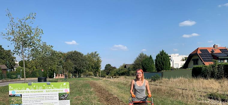 Hier entsteht bald eine bunt-blühende Naturwiese. © FdPH/J.F. Fischer