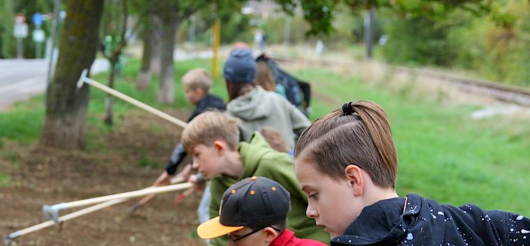 Im Zuge des Projekts „Insekten-Highway in Perchtoldsdorf“, finanziert durch den Wettbewerb Changemaker #nature, säten die motivierten Kinder, Jugendlichen und Erwachsenen eine Naturwiese mit heimischen Wildblumensaatgut in der Wolfgang-Leeb-Gasse, der Wiener Gasse und der Mühlgasse in Perchtoldsdorf an.  © FdPH