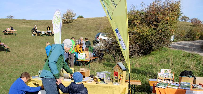 Heideinfostand und Infostand des Biosphärenpark Wienerwald Managements bieten zahlreiche spannende Infos zur Natur auf der Heide und im Wienerwald. © FdPH/L. Strobl