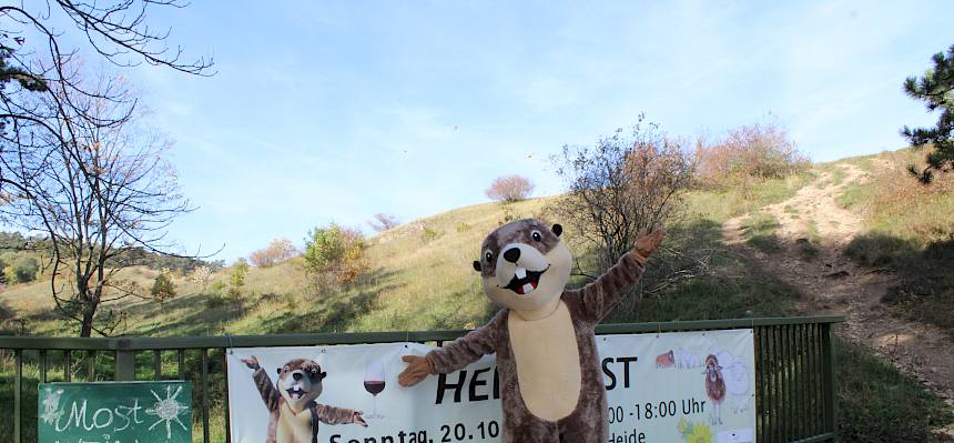 Endlich wieder ein Heidefest bei wunderbarem Herbstwetter! © FdPH/L. Strobl