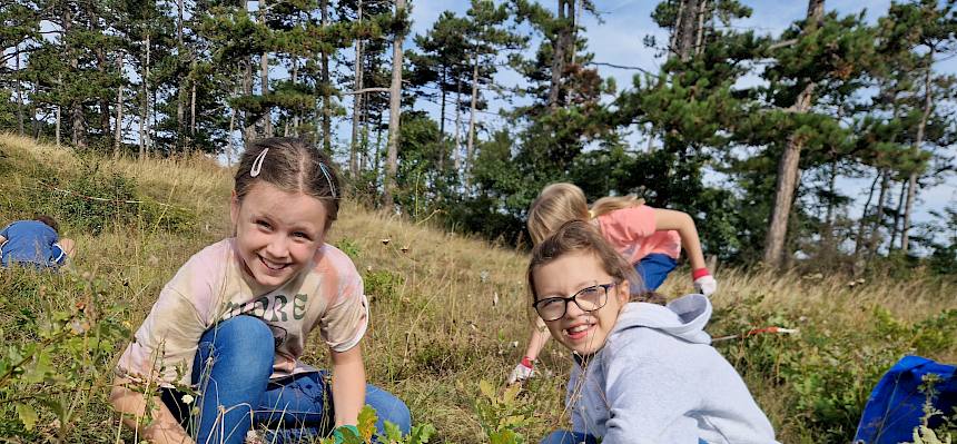 Die Heide pflegen macht Spaß! © FdPH/B. Sabek