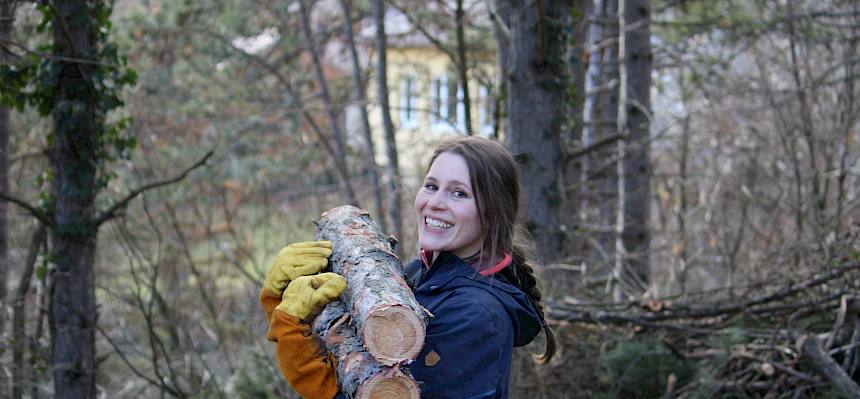 Heute war Muskelkraft gefragt: vielen Holzstücke mussten beiseite gebracht werden. © FdPH/L. Strobl