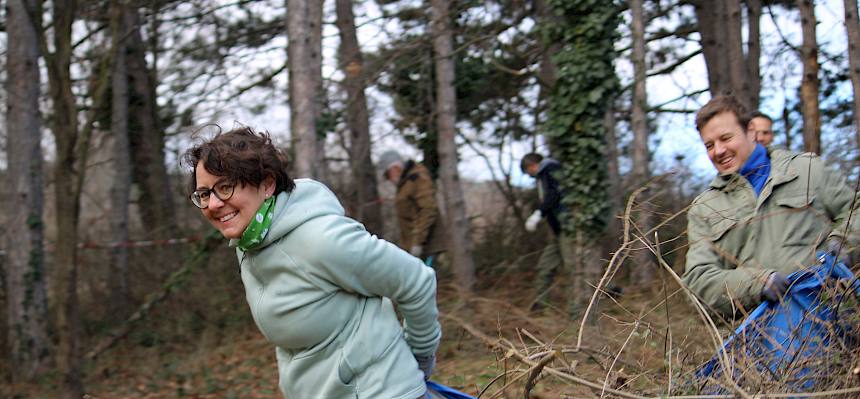 Das Schnittgut wurde mit Planen von der Fläche gebracht. © FdPH/L. Strobl